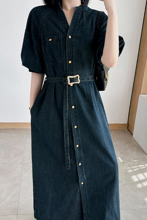 Sylvia Dress (More Colors)