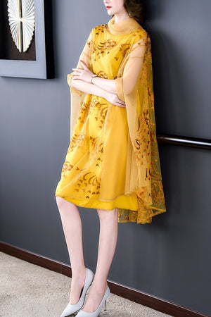 Joel Dress (More Colors)
