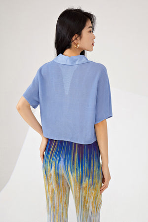 Ilayda Top (More Colors)