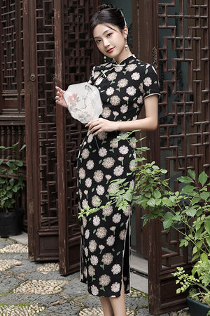 Chloe Cheongsam