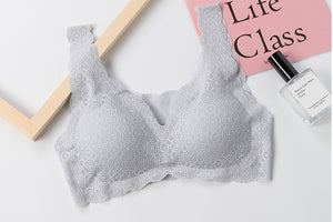 Osher Seamless Bra (More Colors)