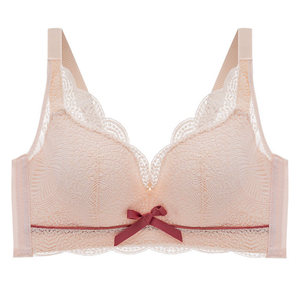 Liraz Bra (More Colors)