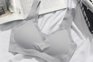 Beatrice Seamless Bra (More Colors)