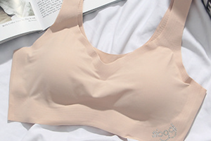 Beatrice Seamless Bra (More Colors)
